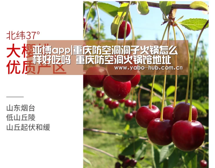 亚博app|重庆防空洞洞子火锅怎么样好吃吗 重庆防空洞火锅馆地址(图3) 亚博app