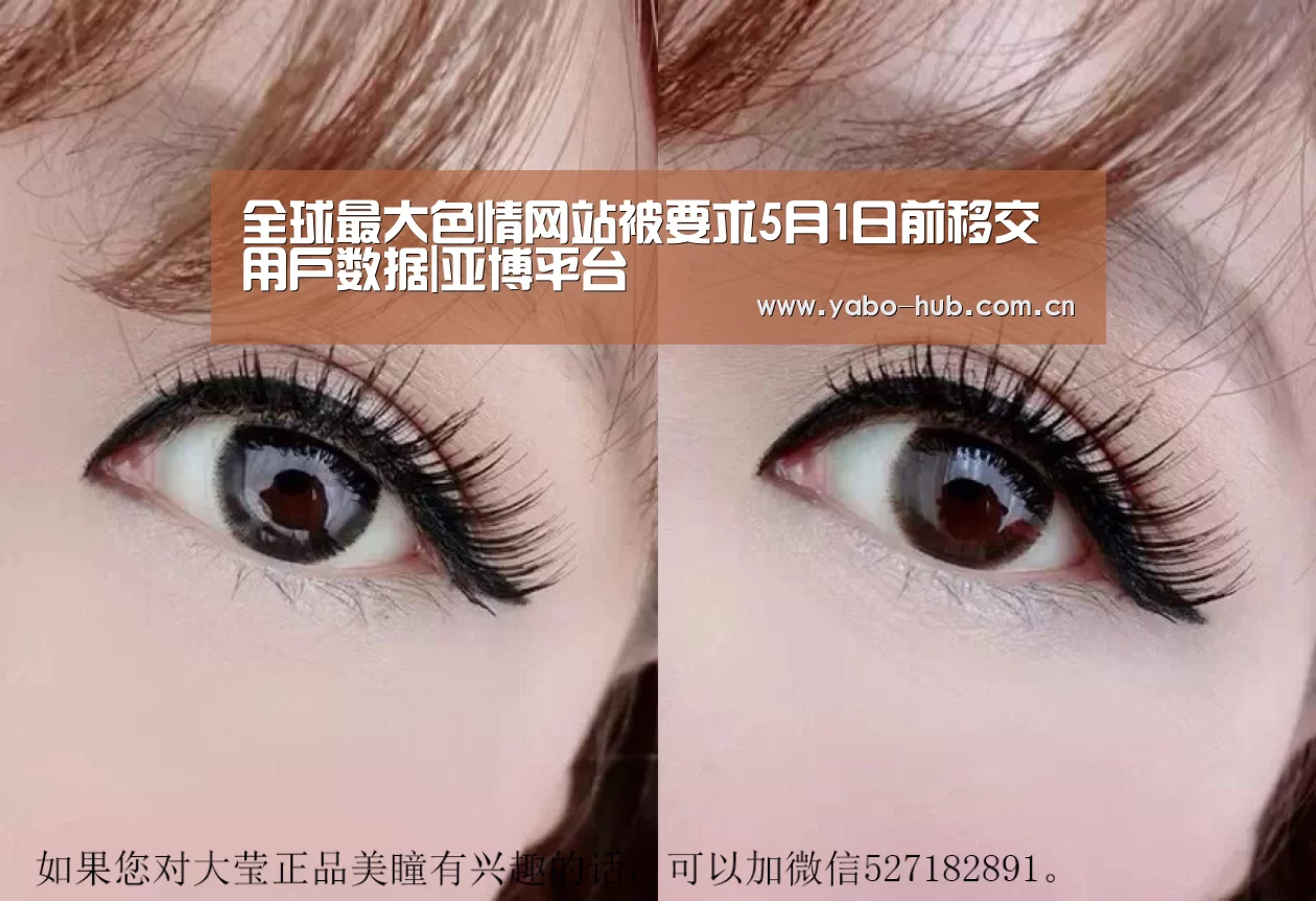 全球最大色情网站被要求5月1日前移交用户数据|亚博平台(图2) 亚博app